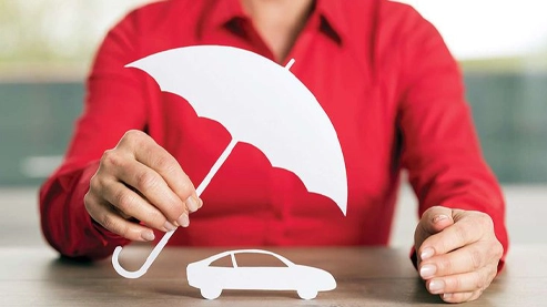 Enclosed auto transport options